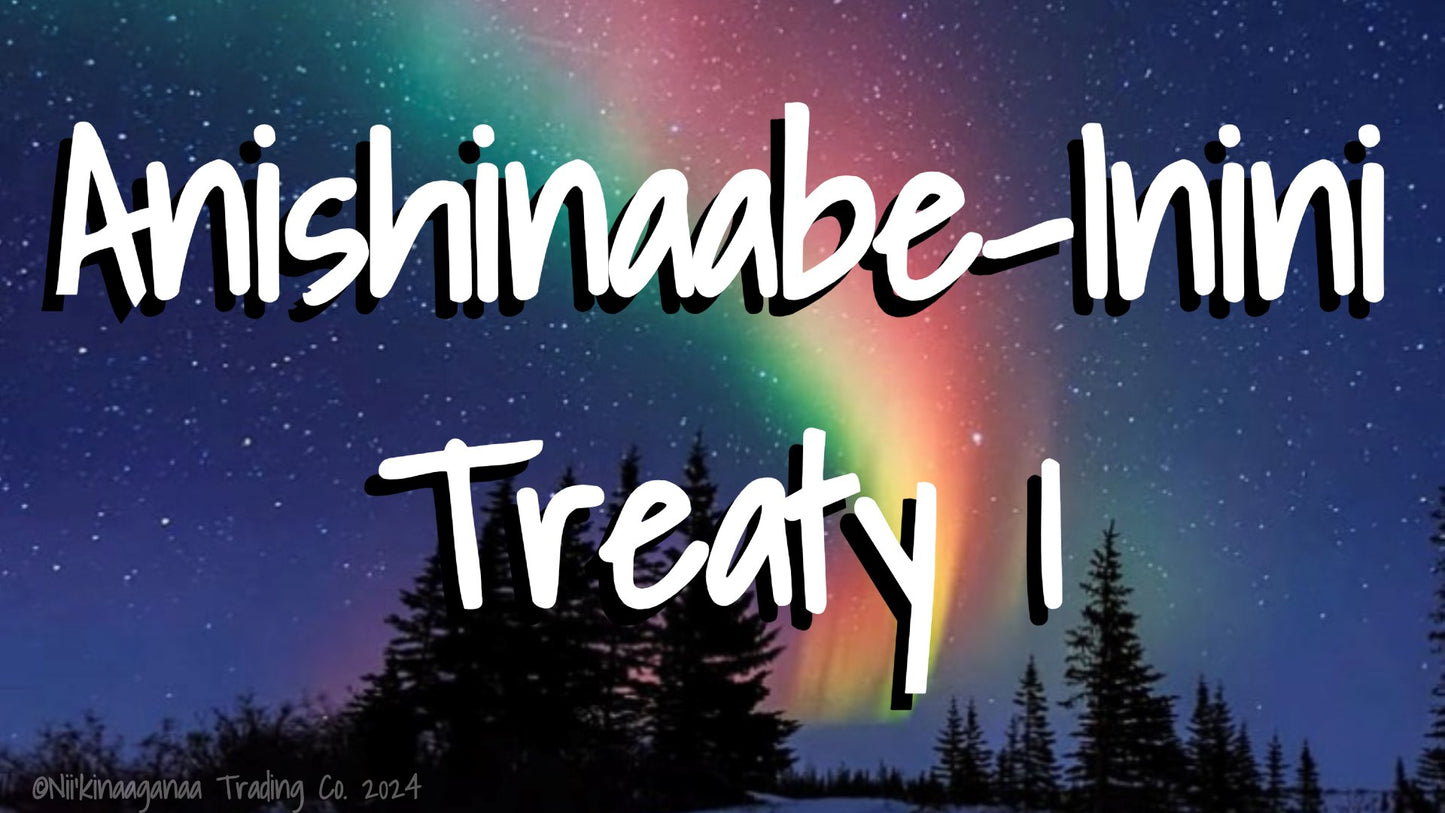 Custom Designed T-Shirt 'Anishinaabe Inini Treaty 1' Design 2 - Nii’kinaaganaa Trading Co.