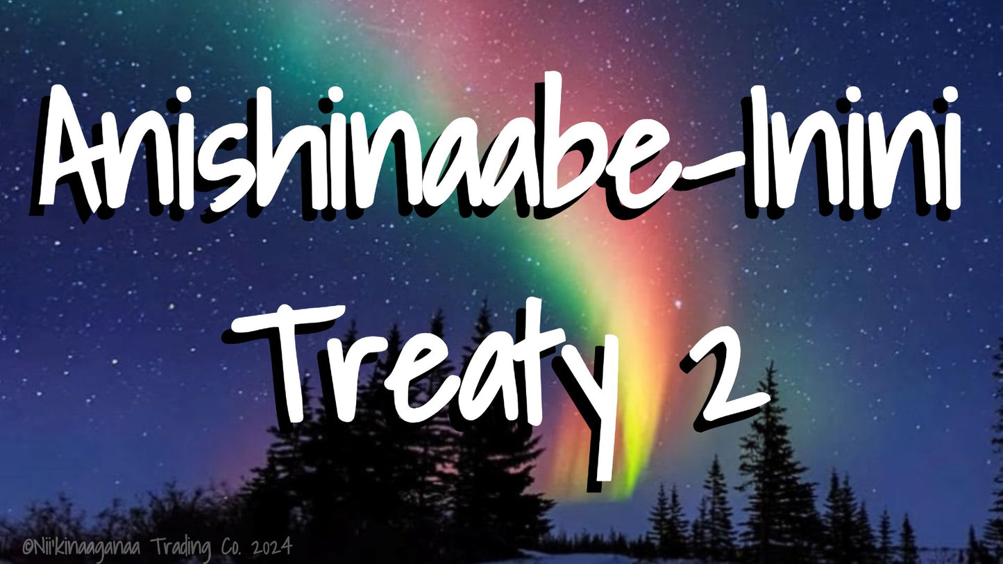 Custom Designed T-Shirt 'Anishinaabe Inini Treaty 2' Design 2 - Nii’kinaaganaa Trading Co.