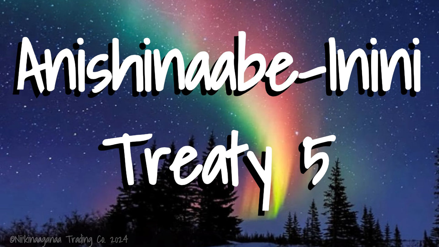 Custom Designed T-Shirt 'Anishinaabe Inini Treaty 5' Design 2 - Nii’kinaaganaa Trading Co.