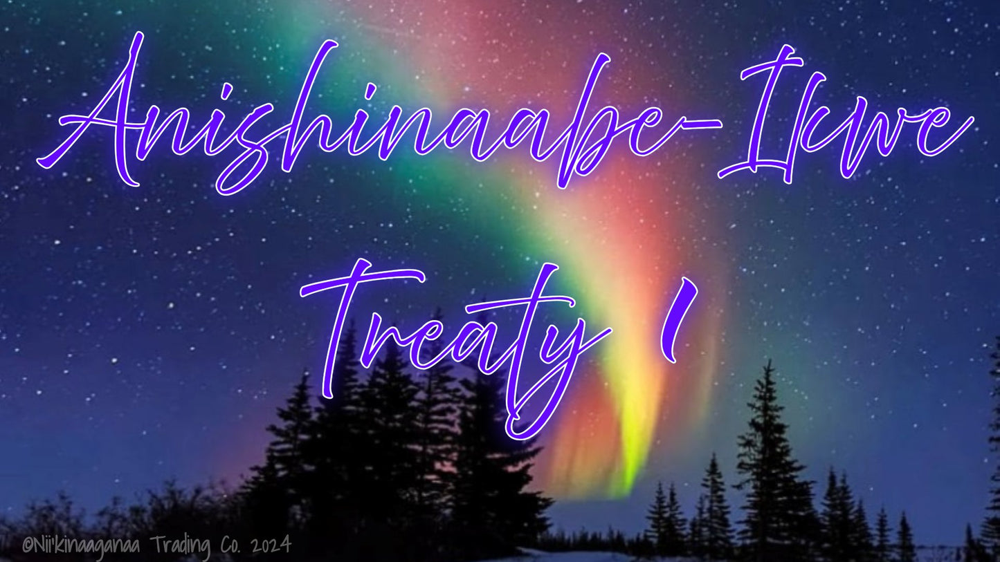 Custom Designed T-Shirts 'Anishinaabe Ikwe Treaty 1' Design 1 - Nii’kinaaganaa Trading Co.