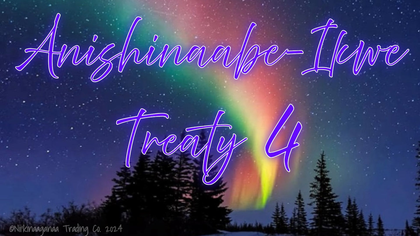 Custom Designed T-Shirts 'Anishinaabe Ikwe Treaty 4' Design 1 - Nii’kinaaganaa Trading Co.