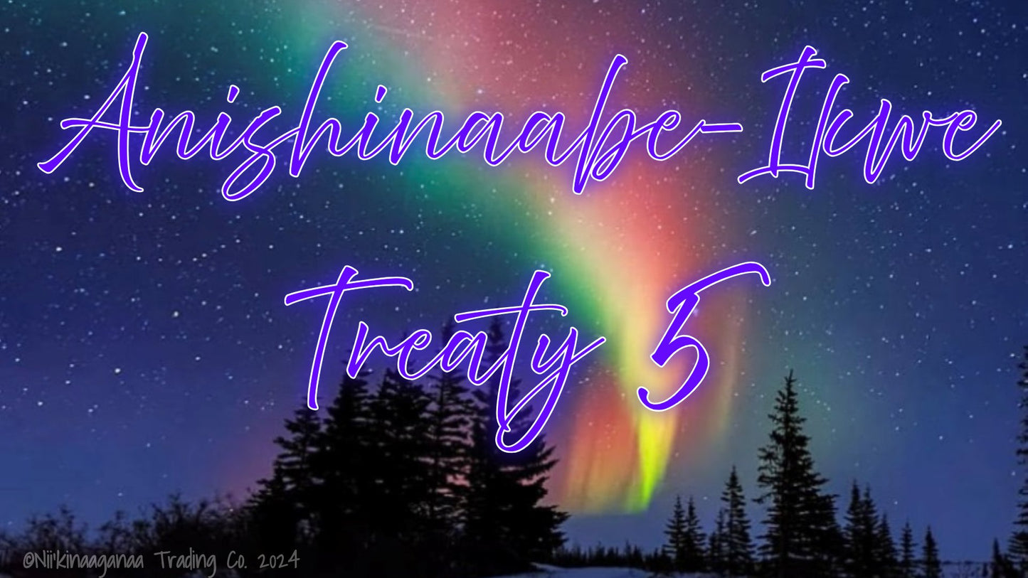Custom Designed T-Shirts 'Anishinaabe Ikwe Treaty 5' Design 1 - Nii’kinaaganaa Trading Co.