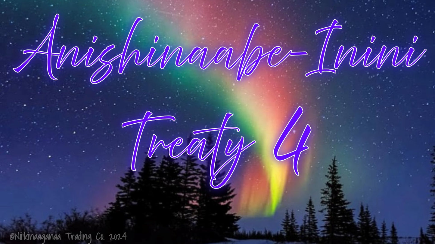 Custom Designed T-Shirts 'Anishinaabe Inini Treaty 4' Design 2 - Nii’kinaaganaa Trading Co.