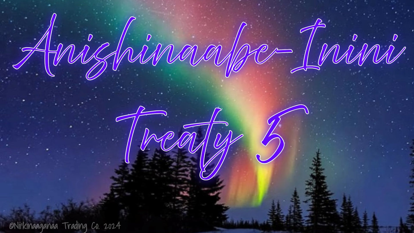 Custom Designed T-Shirts 'Anishinaabe Inini Treaty 5' Design 2 - Nii’kinaaganaa Trading Co.