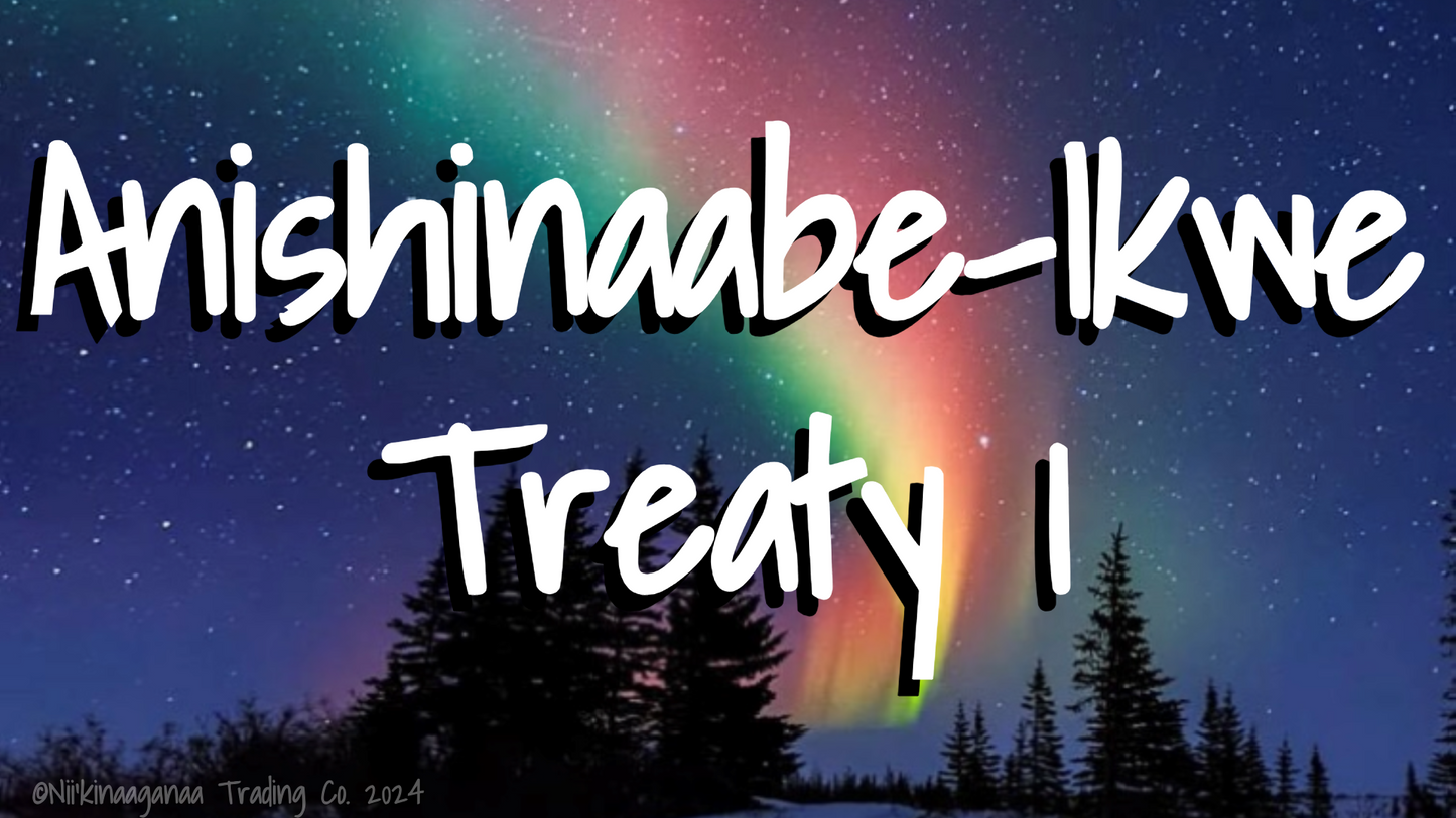 Custom Designed T-Shirt 'Anishinaabe Ikwe Treaty 1' Design 1